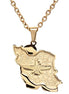 Iran Map Flag Farvahar Necklace Persian Iranian Faravahar Chain Necklace