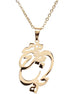 Iranian Persian Parsi Hich Necklace Persia Farsi Art هیچ