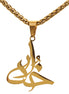 Asoodehdelan Unisex Persian Farsi God Khoda Necklace Pendent Chain
