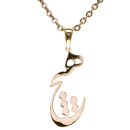 Asoodehdelan Persian Farsi Hich Heech Nothing Necklace Chain Pahlavi Farvahar Persia Art Gift