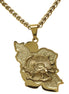 1 Iran map and lion and sun necklace
